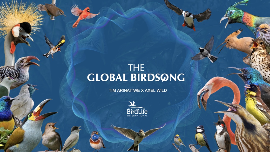 The Global Birdsong by Tim Arinaitwe and Axel Wild for BirdLife International: cover with birds from every continent around a sound wave