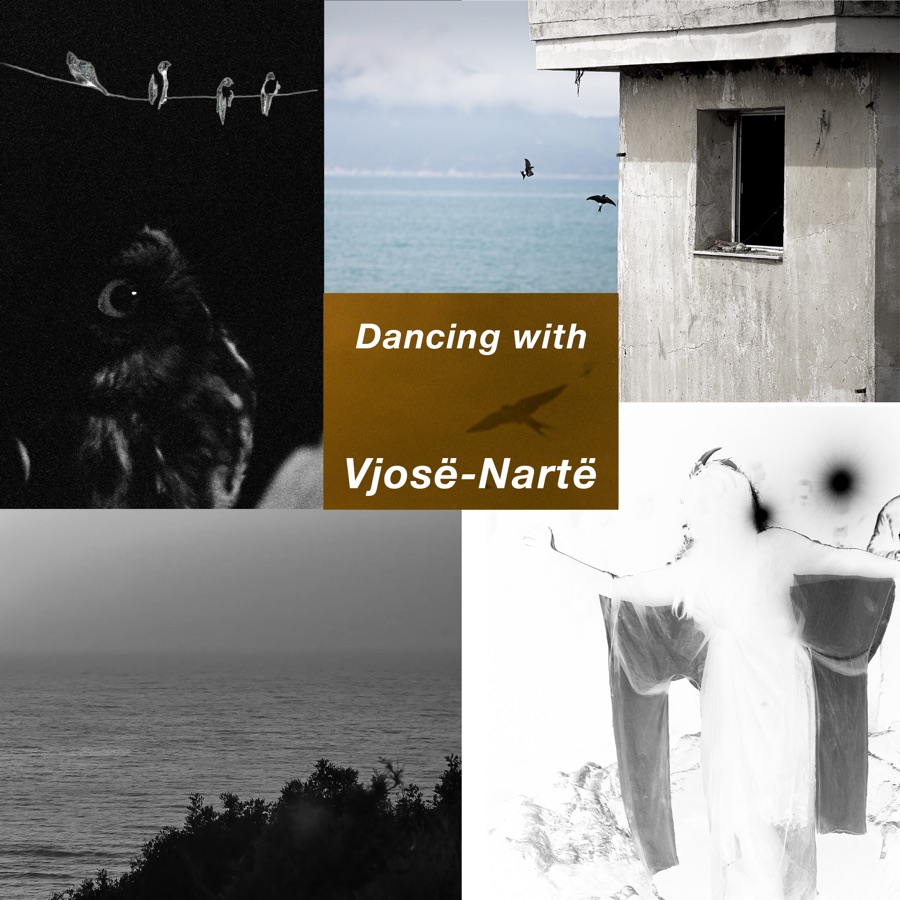 Artwork for Vjosë-Nartë wild rave! by Axel Wild