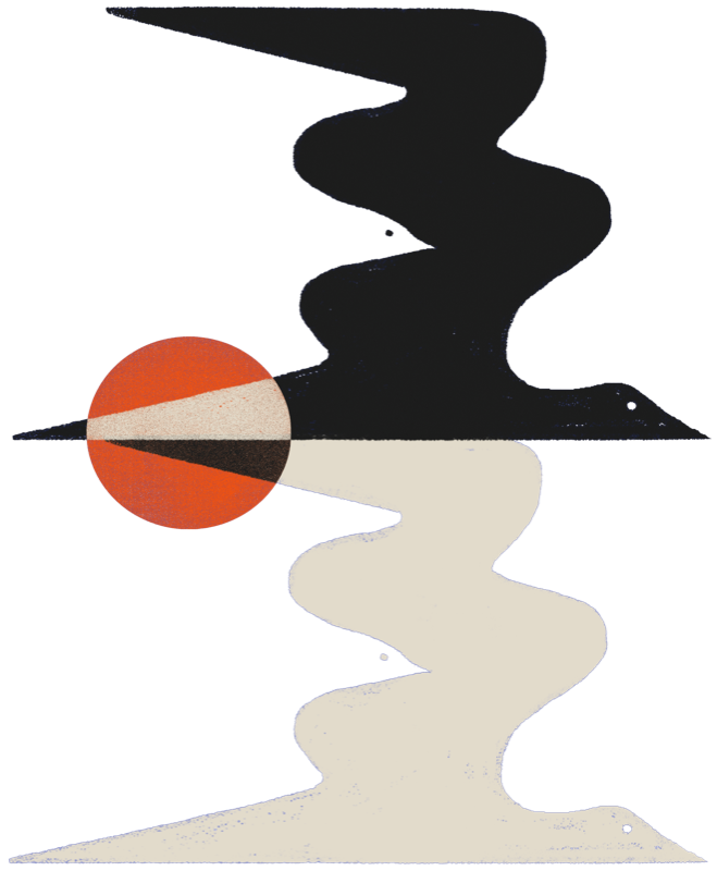 A black bird and a cream bird in flight around a red sun: the WONDER Across Continents artwork